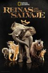 Portada de Reinas del mundo salvaje: Temporada 1