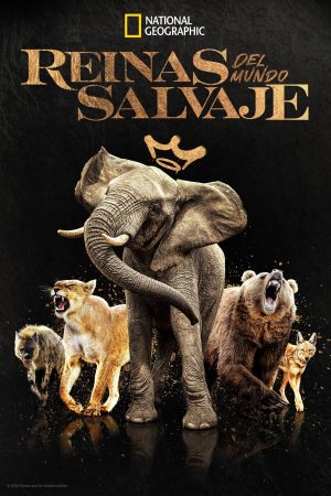 Portada de Reinas del mundo salvaje: Temporada 1