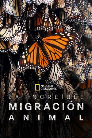 Portada de Viajes increíbles de animales: Temporada 1