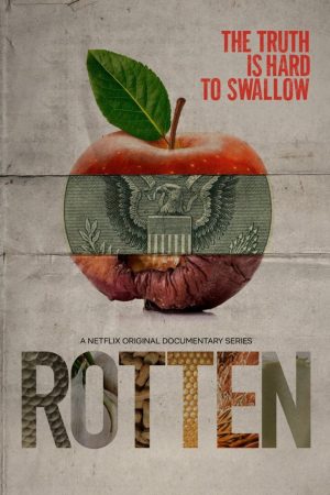 Portada de Podredumbre