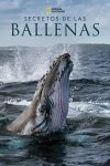 Portada de Los Secretos de las ballenas: Temporada 1