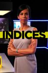 Portada de Indices