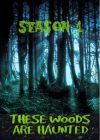 Portada de These Woods Are Haunted: Temporada 1