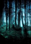 Portada de These Woods Are Haunted: Temporada 3