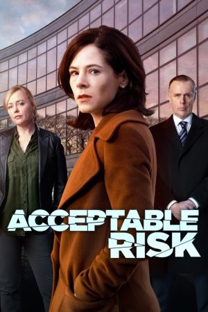 Portada de Acceptable Risk