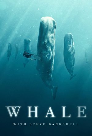Portada de Whale with Steve Backshall