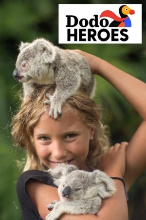 Portada de Dodo Heroes