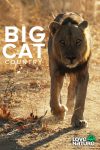Portada de Big Cat Country: Temporada 1