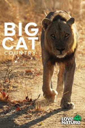 Portada de Big Cat Country: Temporada 1
