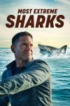 Portada de Most Extreme Sharks: Temporada 1