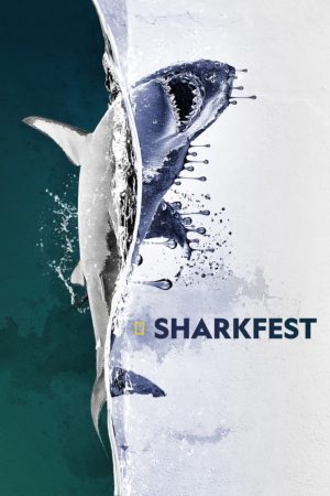 Portada de Sharkfest
