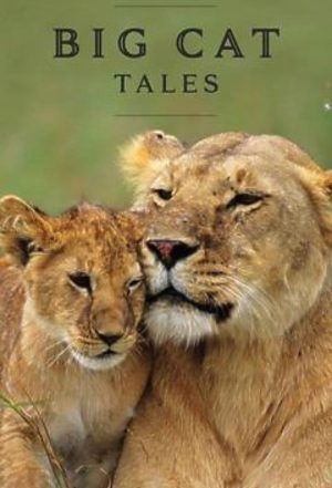 Portada de Big Cat Tales: Temporada 2
