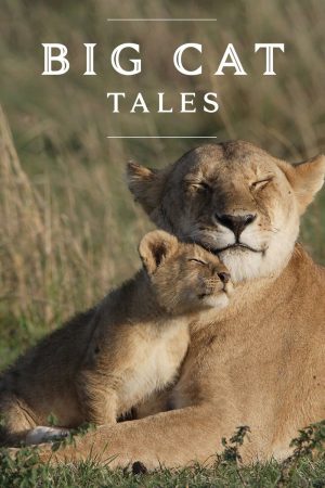 Portada de Big Cat Tales