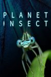 Portada de Planet Insect: Temporada 1