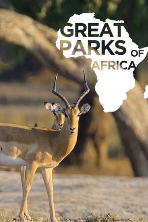 Portada de Grandes parques naturales de África