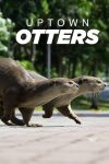 Portada de Uptown Otters: Temporada 1