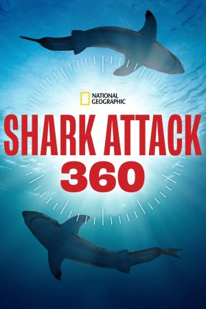 Portada de Shark Attack 360