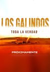 Portada de Los Galindos, toda la verdad: Temporada 1