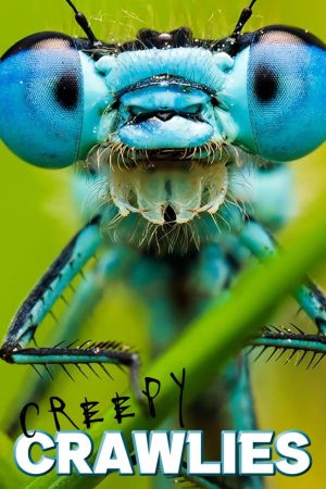 Portada de Creepy Crawlies
