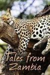 Portada de Tales from Zambia: Temporada 1