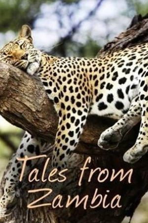 Portada de Tales from Zambia: Temporada 2