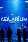 Portada de The Aquarium