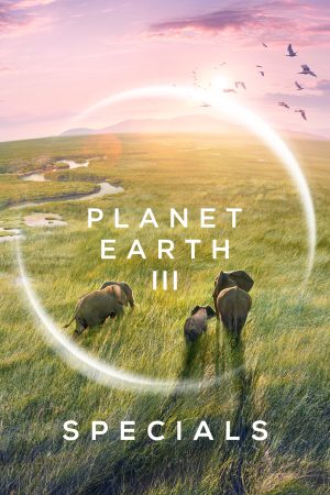 Portada de Planeta Tierra III: Especiales