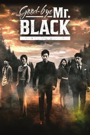 Portada de Adiós Sr. Black: Temporada 1