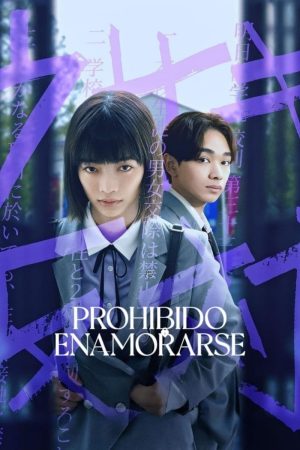 Portada de Prohibido enamorarse