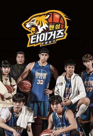 Portada de Handsome Tigers