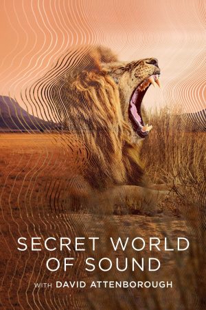 Portada de El mundo secreto del sonido con David Attenborough: Miniserie