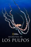 Portada de Los secretos de los pulpos: Temporada 1