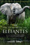 Portada de Los secretos de los elefantes: Temporada 1