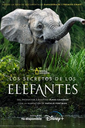 Portada de Los secretos de los elefantes: Temporada 1