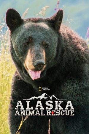Portada de Héroes de Alaska: Temporada 2