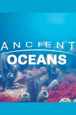 Portada de Ancient Oceans
