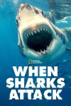Portada de When Sharks Attack: Temporada 5