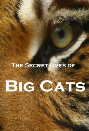Portada de The Secret Lives Of Big Cats