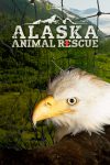 Portada de Héroes de Alaska: Temporada 1