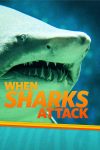 Portada de When Sharks Attack: Temporada 3