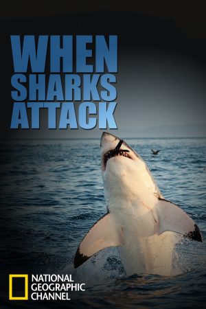 Portada de When Sharks Attack: Temporada 1