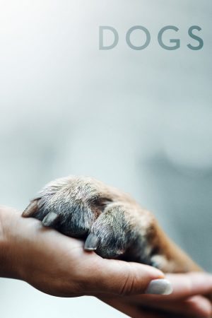 Portada de Amigos Caninos: Temporada 1