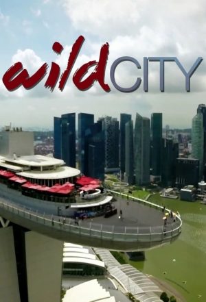 Portada de Wild City: Temporada 1