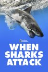 Portada de When Sharks Attack: Temporada 7