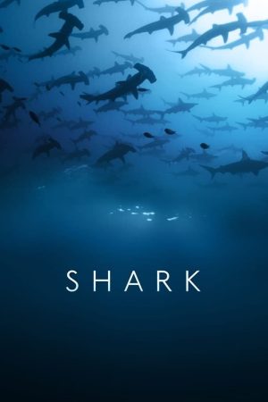 Portada de Tiburones