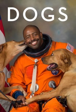Portada de Amigos Caninos: Temporada 2