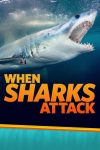Portada de When Sharks Attack: Temporada 4