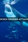Portada de When Sharks Attack: Temporada 6