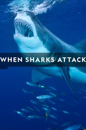 Portada de When Sharks Attack: Temporada 6