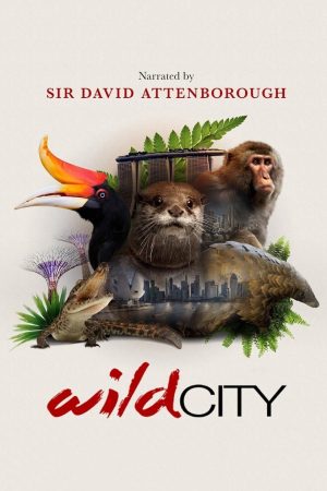 Portada de Wild City